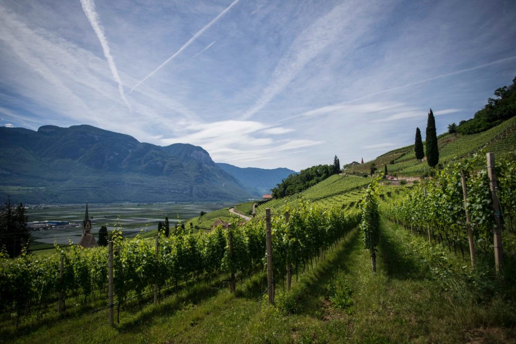 Flights to Italy Vineyards